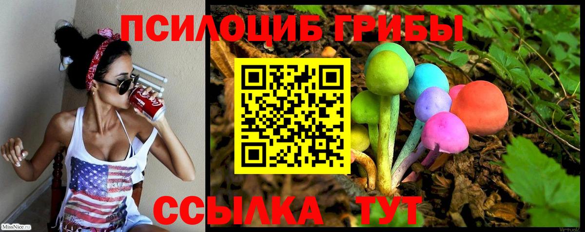 Дзержинск  Псилоцибиновые грибы прущие грибы  Вход с VPN 